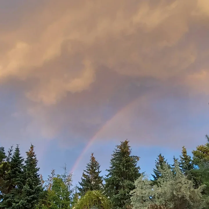 rainbow_2